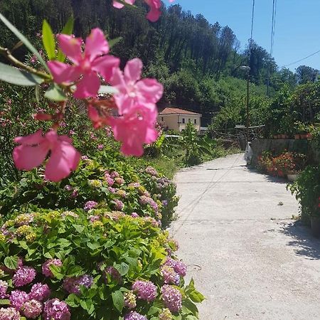 Casa Nonna Anna Villa Maiori Eksteriør billede