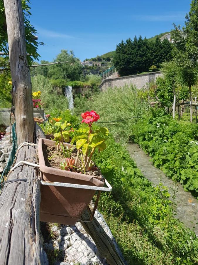 Casa Nonna Anna Villa Maiori Eksteriør billede