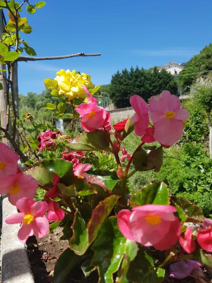 Casa Nonna Anna Villa Maiori Eksteriør billede