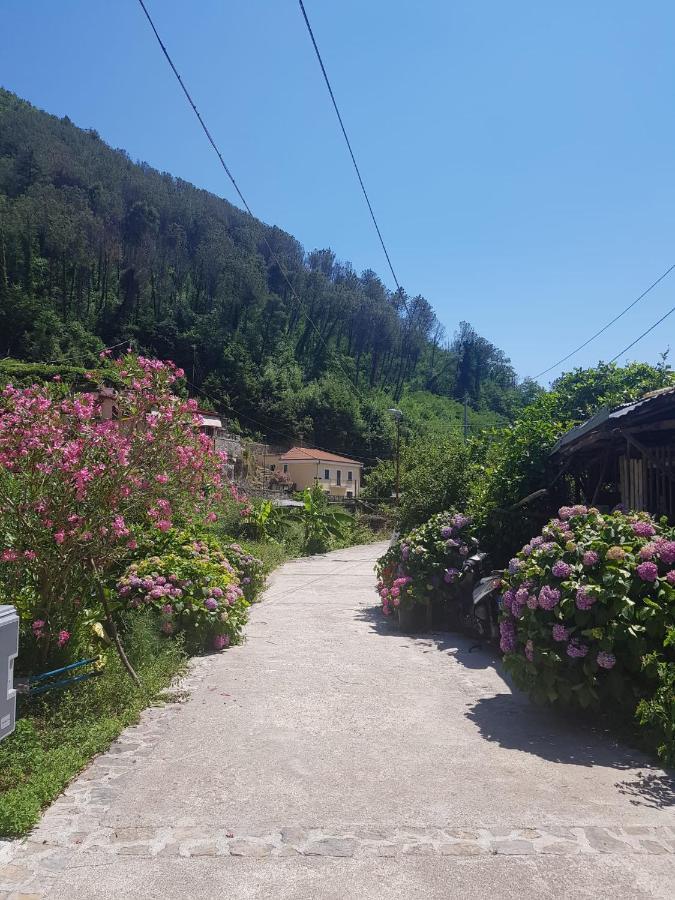 Casa Nonna Anna Villa Maiori Eksteriør billede