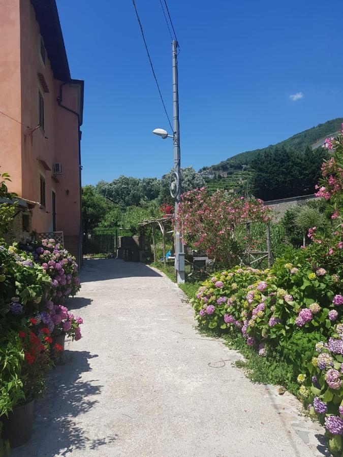 Casa Nonna Anna Villa Maiori Eksteriør billede