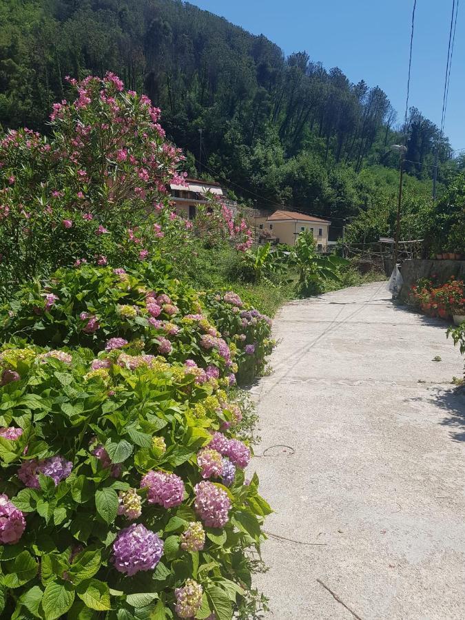 Casa Nonna Anna Villa Maiori Eksteriør billede