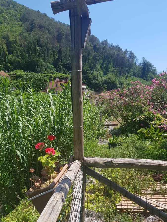 Casa Nonna Anna Villa Maiori Eksteriør billede